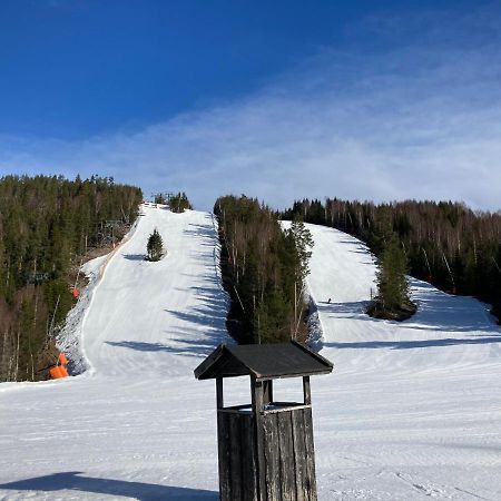 IdkerbergetRaemsbyns Fritidsby, Naera Romme Alpin公寓 外观 照片