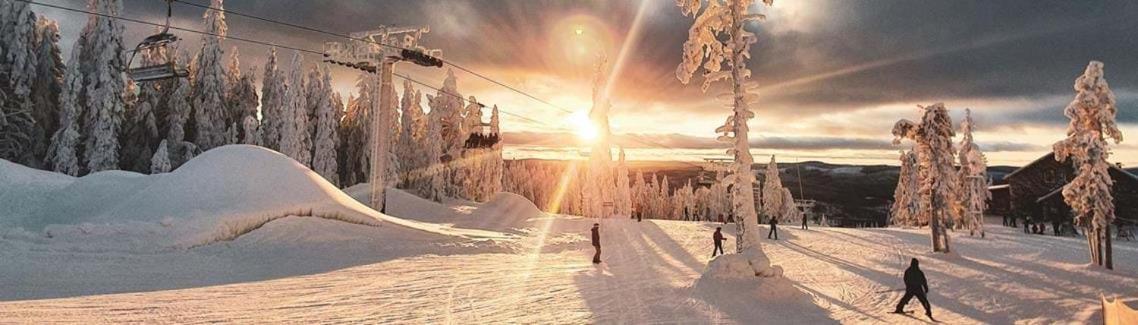 IdkerbergetRaemsbyns Fritidsby, Naera Romme Alpin公寓 外观 照片