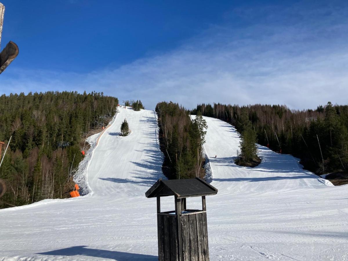 IdkerbergetRaemsbyns Fritidsby, Naera Romme Alpin公寓 外观 照片